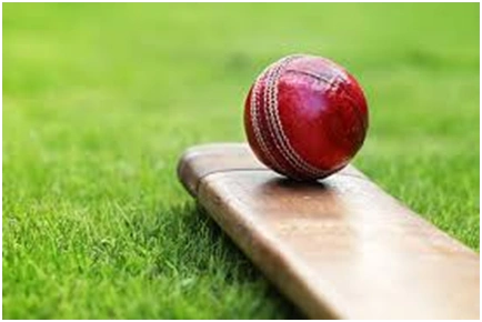 Cricket